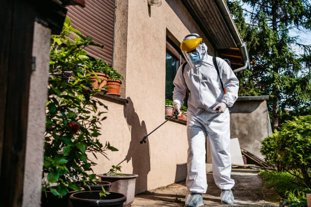 Best Emergency Pest Control  in Nokesville, VA