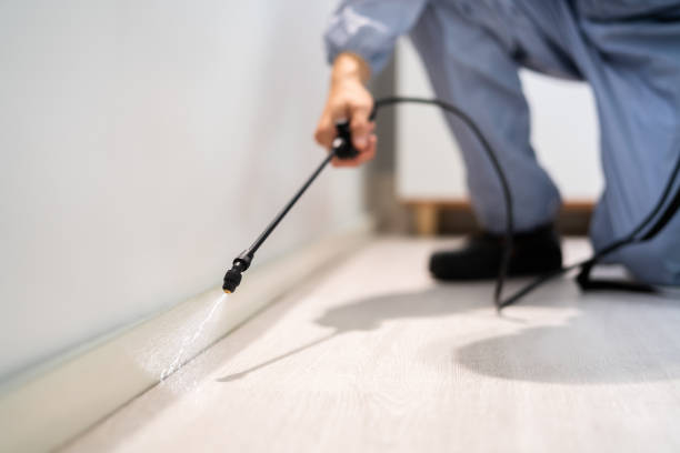 Best Pest Removal Services  in Nokesville, VA