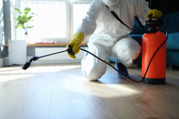 Best Pest Prevention Services  in Nokesville, VA