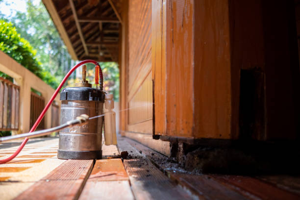 Best Ant Control Services  in Nokesville, VA