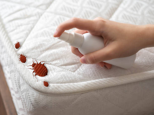 Best Pest Control Near Me  in Nokesville, VA