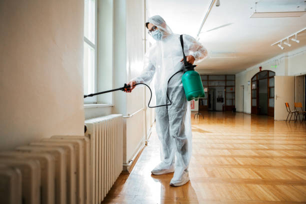 Best Local Pest Control Services  in Nokesville, VA