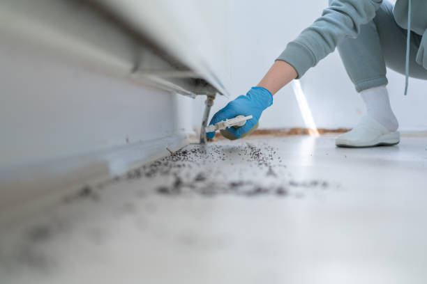 Best Pest Inspection Near Me  in Nokesville, VA