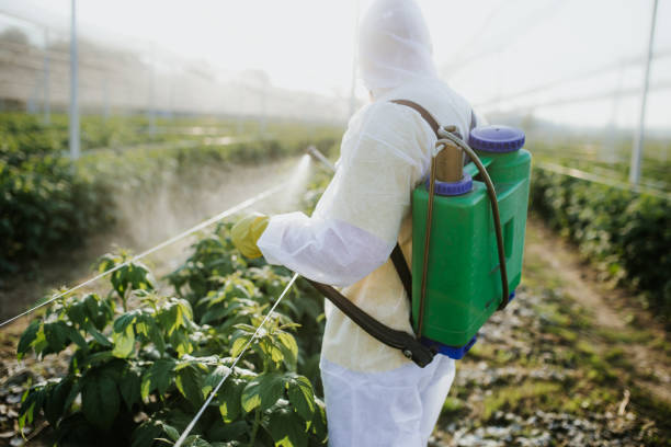Best Best Pest Control Companies  in Nokesville, VA